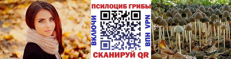 нарко площадка телеграм  где купить   Мегион  Псилоцибиновые грибы Psilocybe 