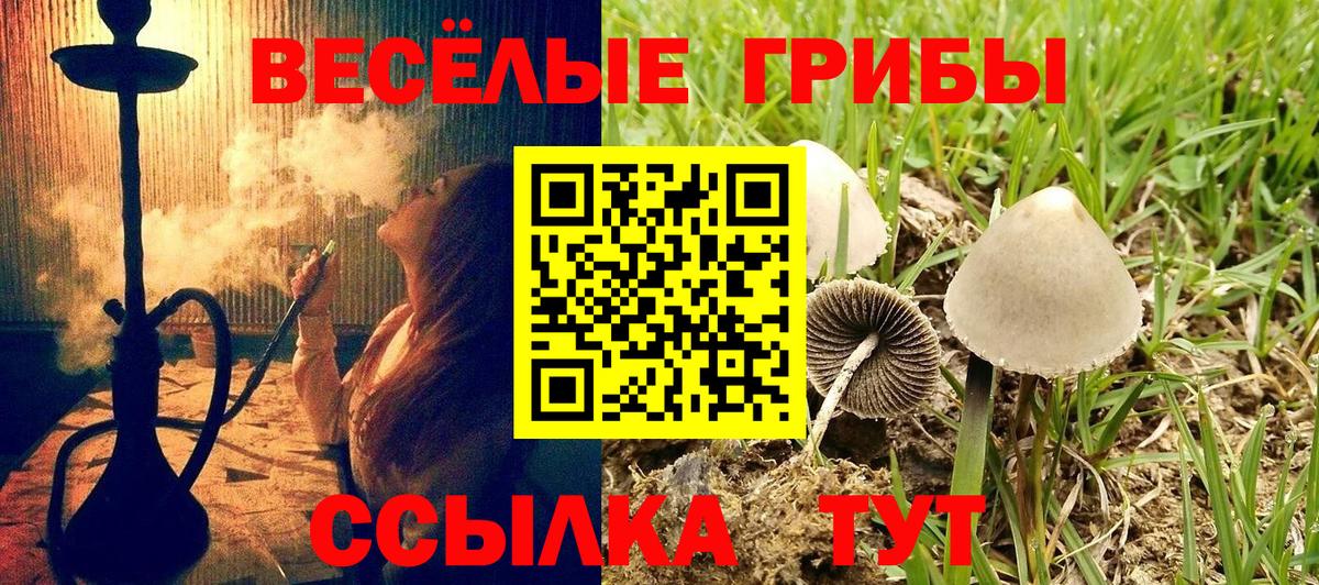 Псилоцибиновые грибы Psilocybine cubensis Мегион
